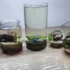 احواض سمك مكتبيه