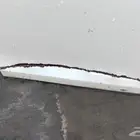 باب خلفي يسار