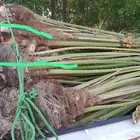 زبائن الكرام عندنا نهر متواجد في مكه الى عدد 26 فيها الاخلاص