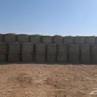 الفات رودس