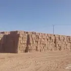 للبيع كوم ذره جيزانيه ناعمه وشد طيب 5200العدد