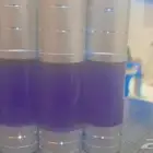 مخمريات