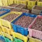 تمر خلاص بدون كيماوي