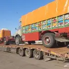 لوبد موجود في الدمام يتجاه يخبرنا