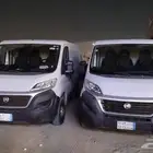 باص فيت