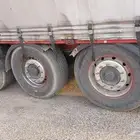 ستاره تريلا بيبي