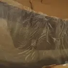 زجاج امامي لكزس Rx أصلي