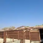 مضلات وحضاير للحلال