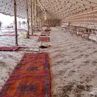 تاجير جميع لوازم الحفلات