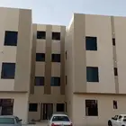 شقة عزاب بحي لبن للايجار الشهري ب 2000 ريال