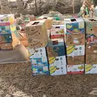 تمر خلاص و شيشي