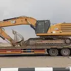 لوبد متواجد بالقصيم