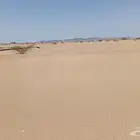 أرض في حي الندى ( فرصه)