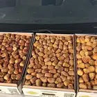 مفتل ملكي ومفتل رقم 1 ورطب