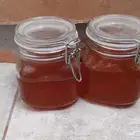 عسل سدر فاخر