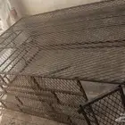 قفص دجاج وحمام