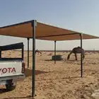 ملتزما مواشي