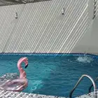 شاليه سما 7