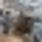 صيانة اجهزة التكييف المركزي وتمديدات الدكت مشاريع التكييف