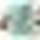 بحوث وتقارير وعروض بوربوينت وحل الواجبات.