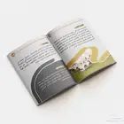 تصميم بروفايل احترافي الشركات والمؤسسات