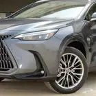 لكزس - NX350 CC - خليجي - 2025