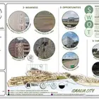 تصميم بوستر جامعي ريفيت رندر بلان سيكشن واجهات كونسبت دراسة