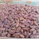 تمر برني العلا العايدي