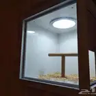 استديو تصوير طيور بعصا متحركة