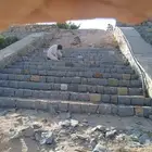 بناء حجر