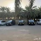 مشوار المكة المدينة