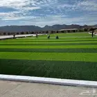 عشب صناعي ملاعب تنسيق حدائق