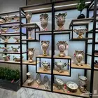 تحف هدايا طاولات