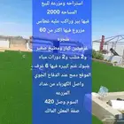للبيع