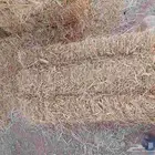 تبن شعير