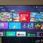 شاشة التلفزيون