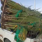 يوجد لدينا جميع انواع انخل