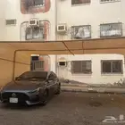 الشمس ما ترحم بس سيارتك تستاهل دلع