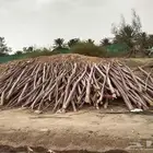 عندي خشب للبيع في نجران ومستوي وكل المقاسات