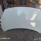 كبوت زوزكي دي زاير 2024