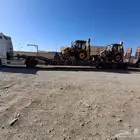 لوبد متواجد في شرما ضبا جبل الوز