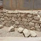 الرياض