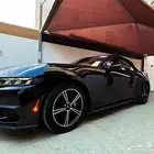 موستنج ايكوبوست كشف بطاقة جمركية