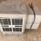 رقم الجوال