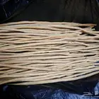 نقوم بتوزيع المساويك في المسجد النبوي أحياء للسنه