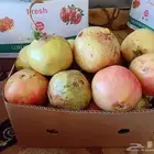 رمان بيده للبيع مع توصيل مجاني للمنزل