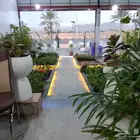 مؤسسة زهرة الخليج الزراعية -نجران -دحضة