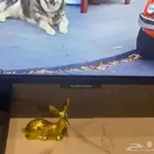 شاشة سامسونج سمارت 4K 38 بوصة