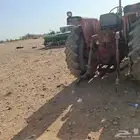 بذاره جندير و حراته فولفو للبيع