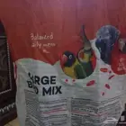 اكل ببغوات 20 كيلو